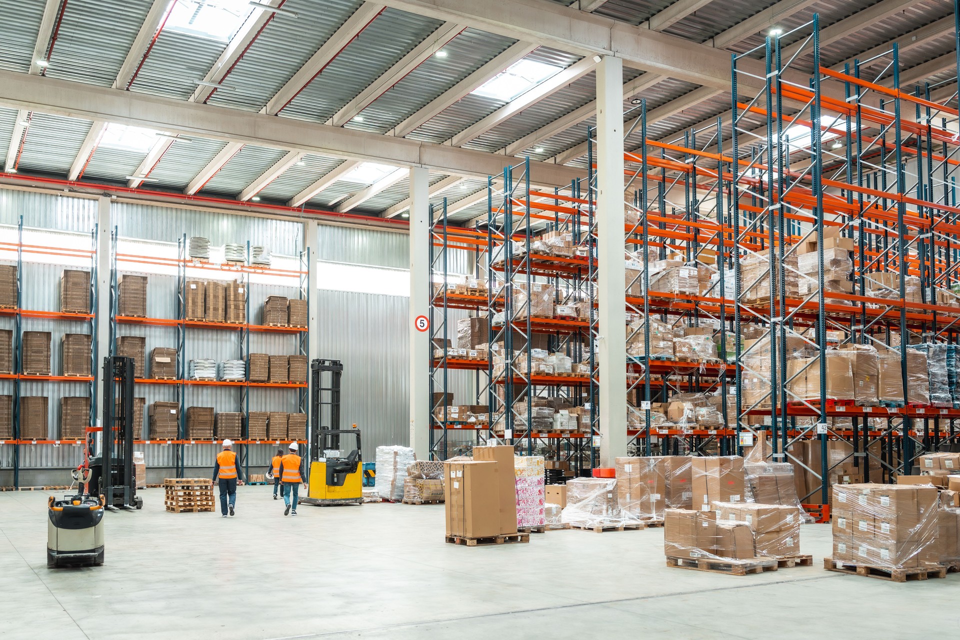 Logistics specialists working in distribution warehouse